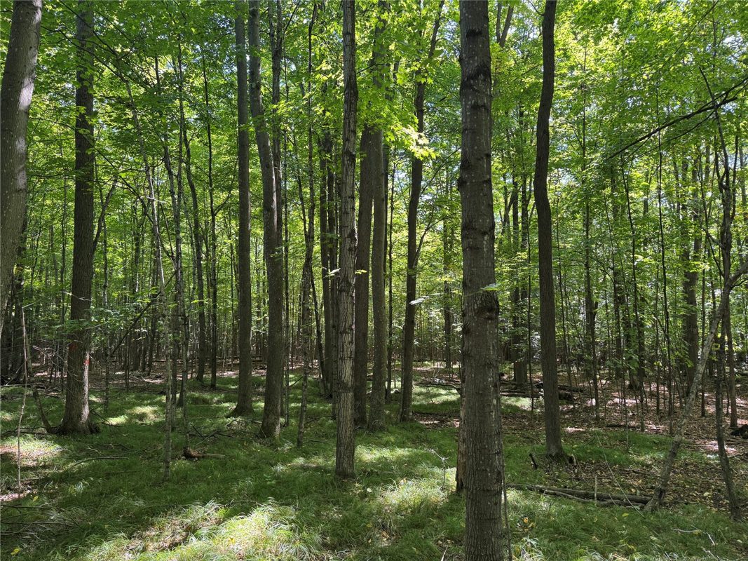 OOO County Road L, Merrill WI 54452 - Land house for sale - MLS #1605059 - image21