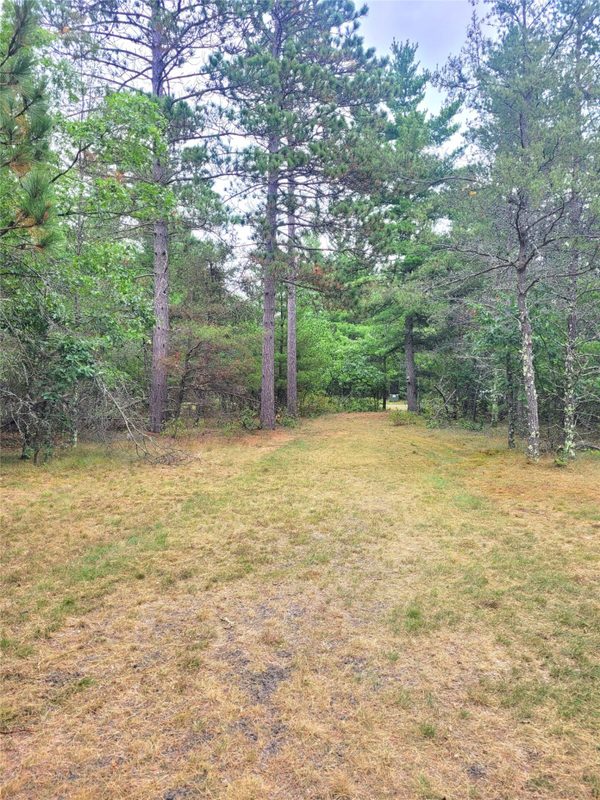 0 Blueberry Rd, Gordon WI 54838 - Land house for sale - MLS #1604990 - image9