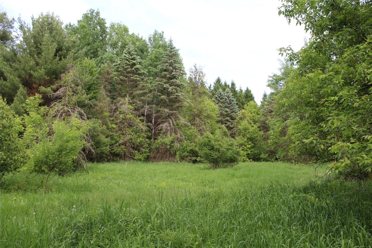 , Humbird WI 54746 - Residential house for sale - MLS #1602650 - image13