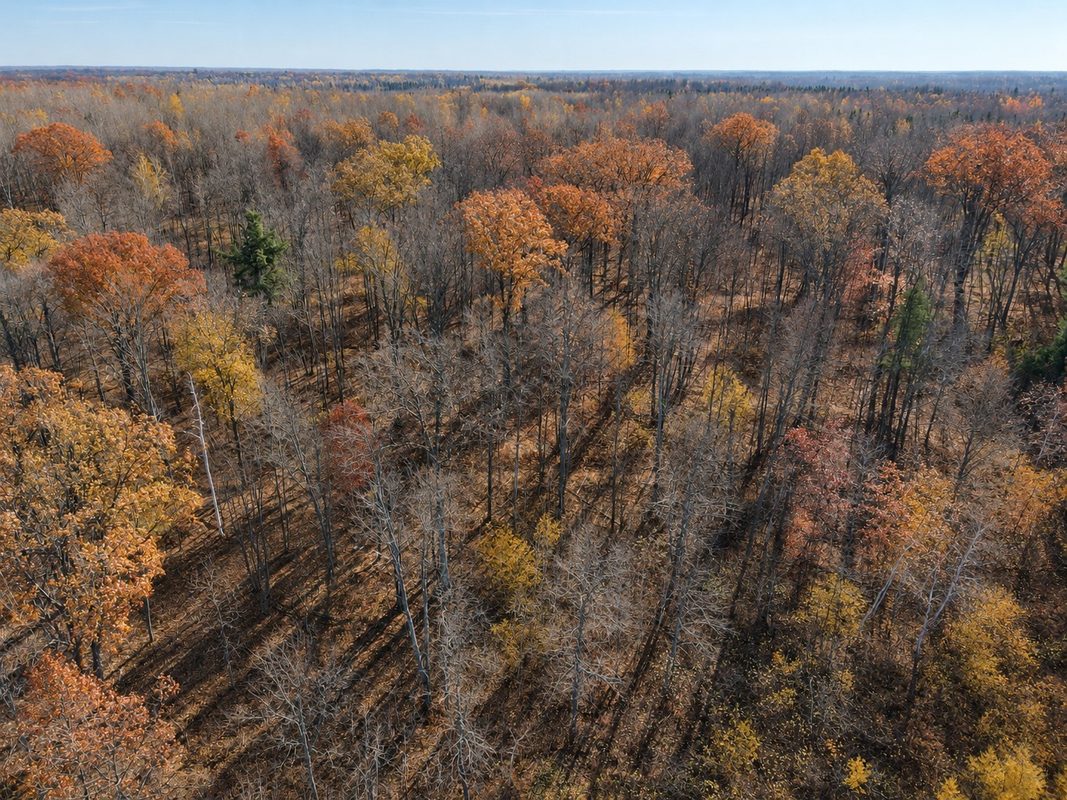 TBD Fedyn Road, Ladysmith WI 54848 - Land house for sale - MLS #1606244 - image18