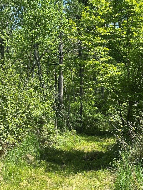 N7642 Crooked Road, Ladysmith WI 54848 - Residential house for sale - MLS #1601657 - image33