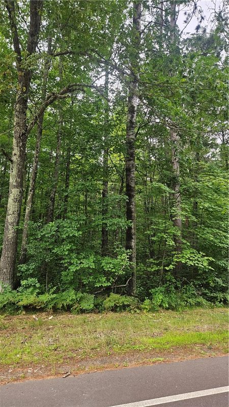 Residential at Lots 1-2, 34-40 BLK 2 County Road K, Hayward, WI 54843 — photo 6
