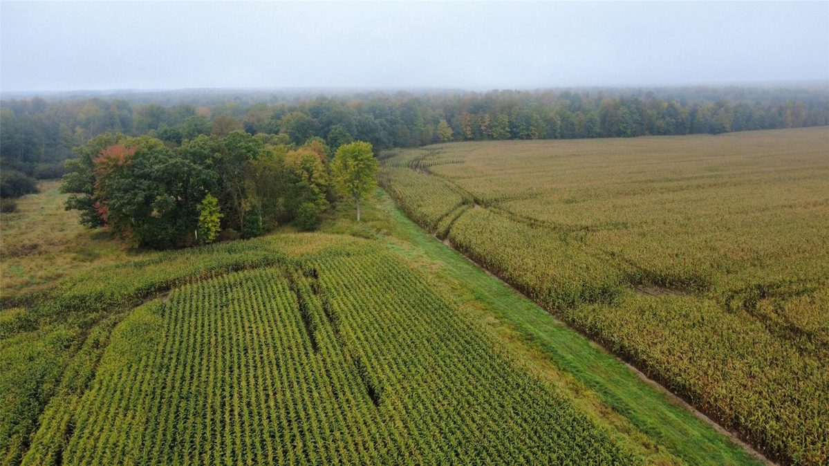 000 Miller Avenue, Owen WI 54460 - Land house for sale - MLS #1605509 - image2