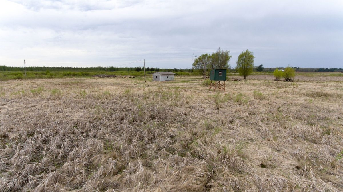 XXX Hegge Road, Wood River WI 54840 - Land house for sale - MLS #1601236 - image5