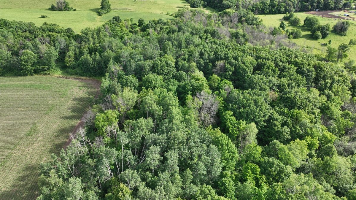 XX County Road BB, Baldwin WI 54002 - Land house for sale - MLS #1602567 - image3