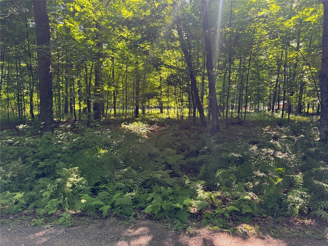 Lot 8 Crane Lane, Hayward WI 54843 - Land house for sale - MLS #1603375 - image11