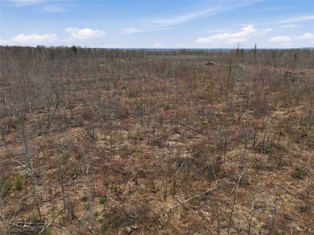 51.54 Acres Along County Road CC, Couderay, WI — photo 14