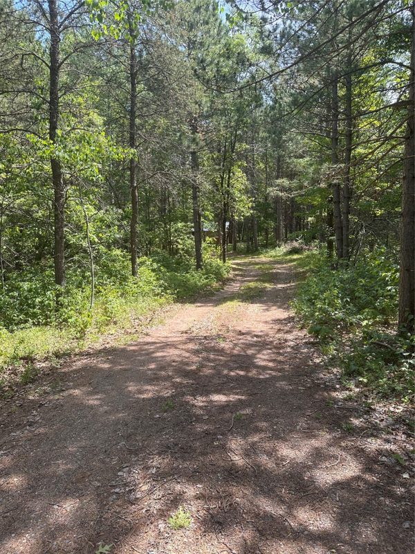 26040 Ostergren Road, Webster WI 54893 - Land house for sale - MLS #1602298 - image4
