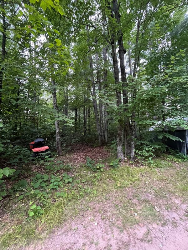 16876 Southview Trail, Stone Lake WI 54876 - Land house for sale - MLS #1599724 - image4
