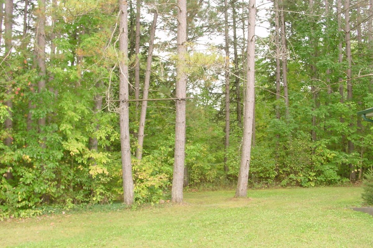 N5391 Hwy. 73, Ingram WI 54526 - Residential house for sale - MLS #1604886 - image53