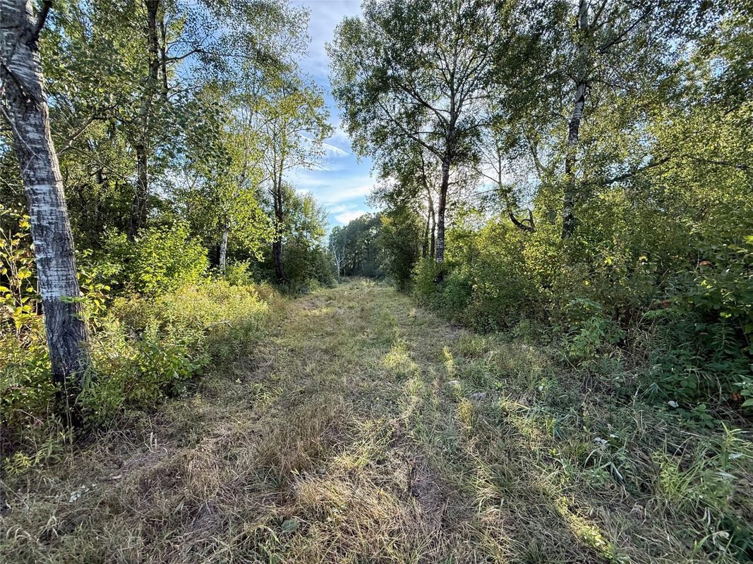 XX County Rd N, Kennan WI 54537 - Land house for sale - MLS #1605049 - image14