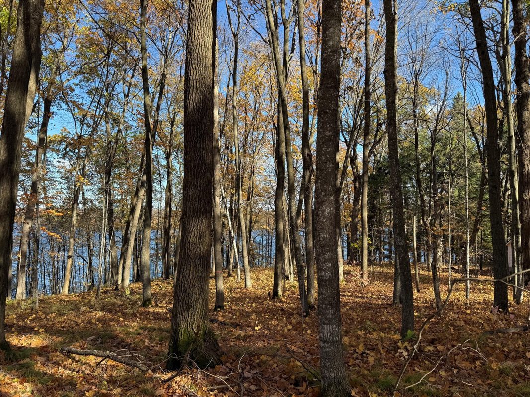 XXX County Hwy MD, Sarona WI 54870 - Land house for sale - MLS #1605948 - image27