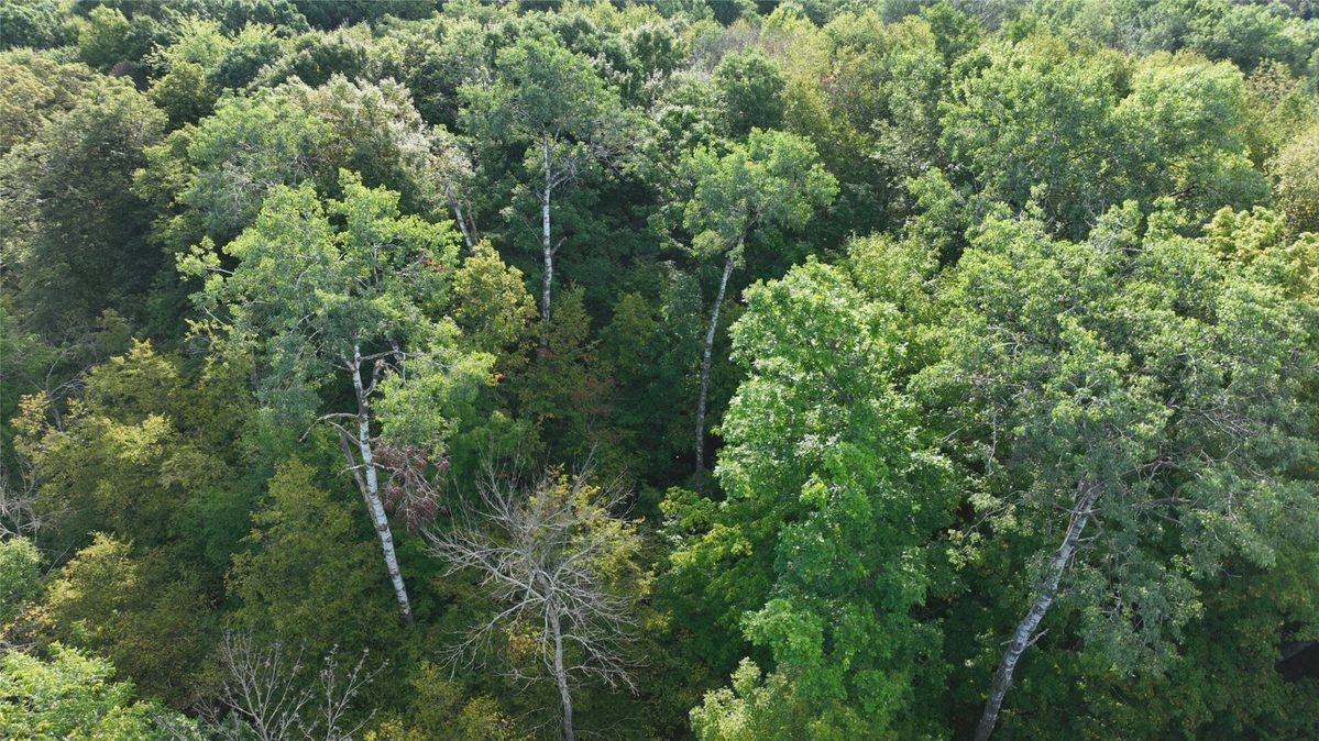 XX County Road O, Boyceville WI 54725 - Land house for sale - MLS #1604881 - image19