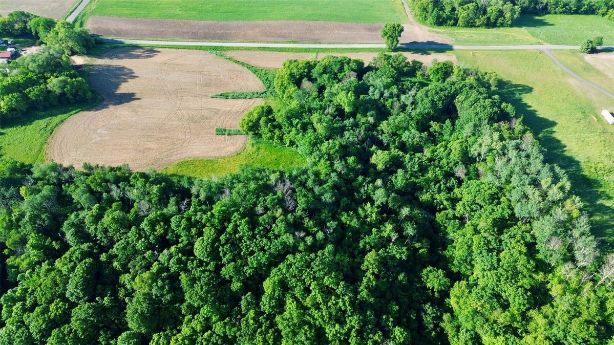 15.01 Acres 160th Avenue, Maiden Rock WI 54750 - Land house for sale - MLS #1604580 - image4