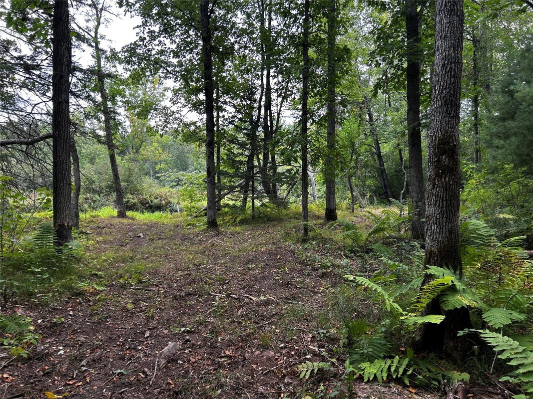 Lots 5 & 6 State Highway 70, Spooner WI 54801 - Land house for sale - MLS #1604806 - image34