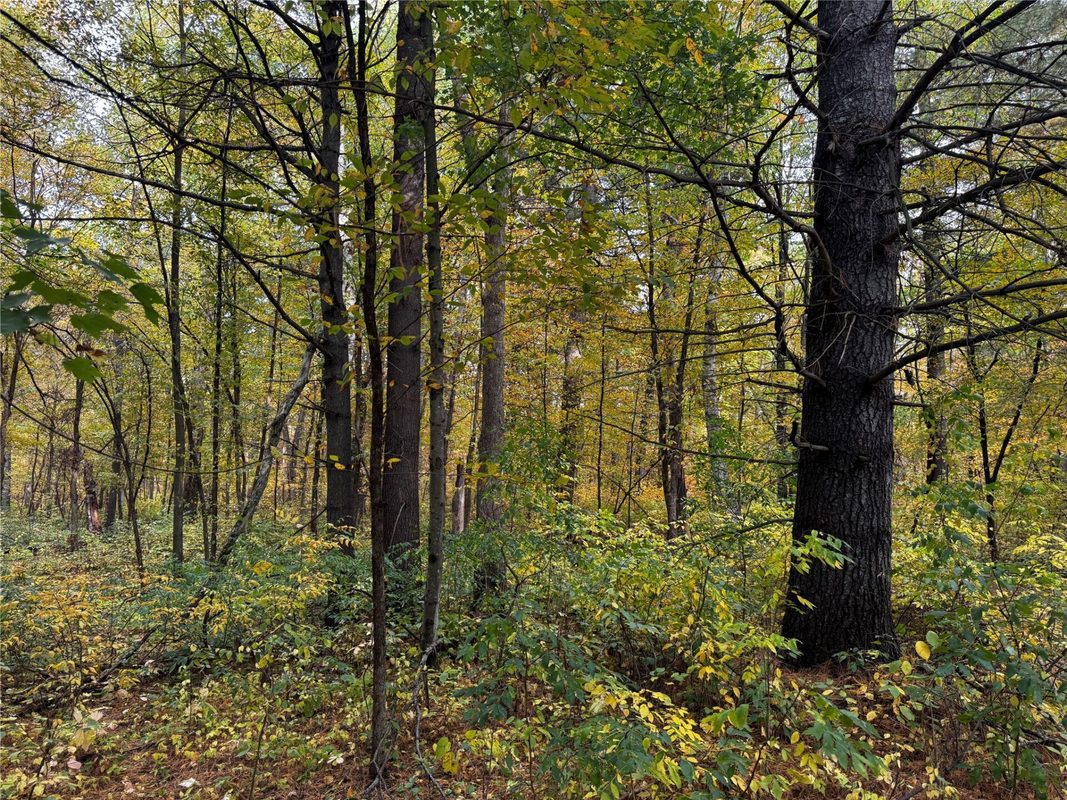 3461 56th, Frederic WI 54837 - Land house for sale - MLS #1605729 - image27