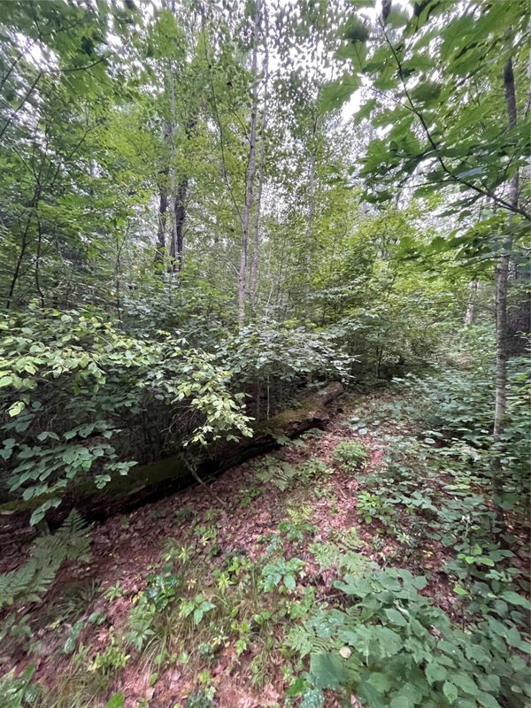16876 Southview Trail, Stone Lake WI 54876 - Land house for sale - MLS #1599724 - image14