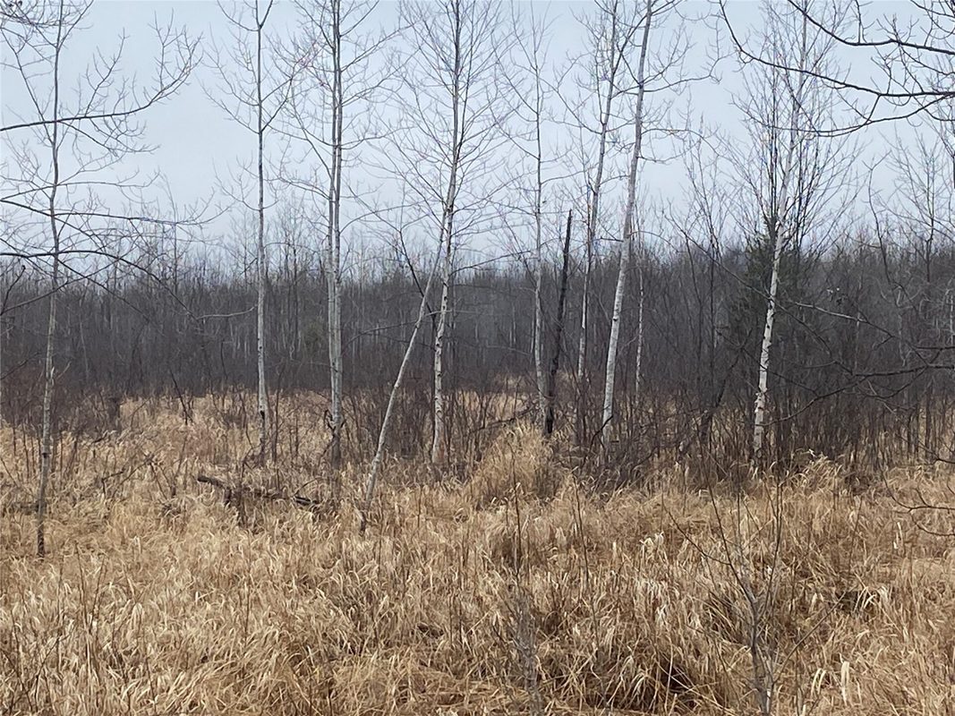 ON Shauger Road Ogema WI 54459 — photo 3