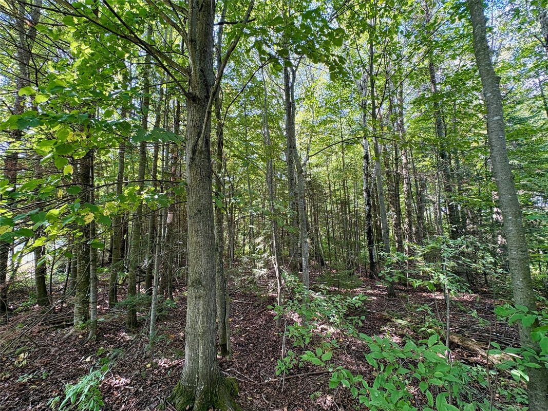 W16860 Cty Rd D, Sheldon WI 54766 - Land house for sale - MLS #1604631 - image42