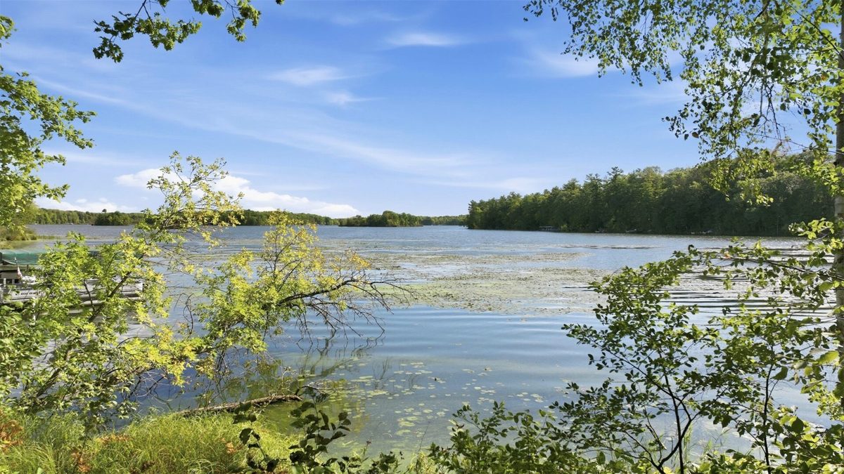 Lot 2 Sugar Bay Road, Chetek WI 54728 - Land house for sale - MLS #1605220 - image5