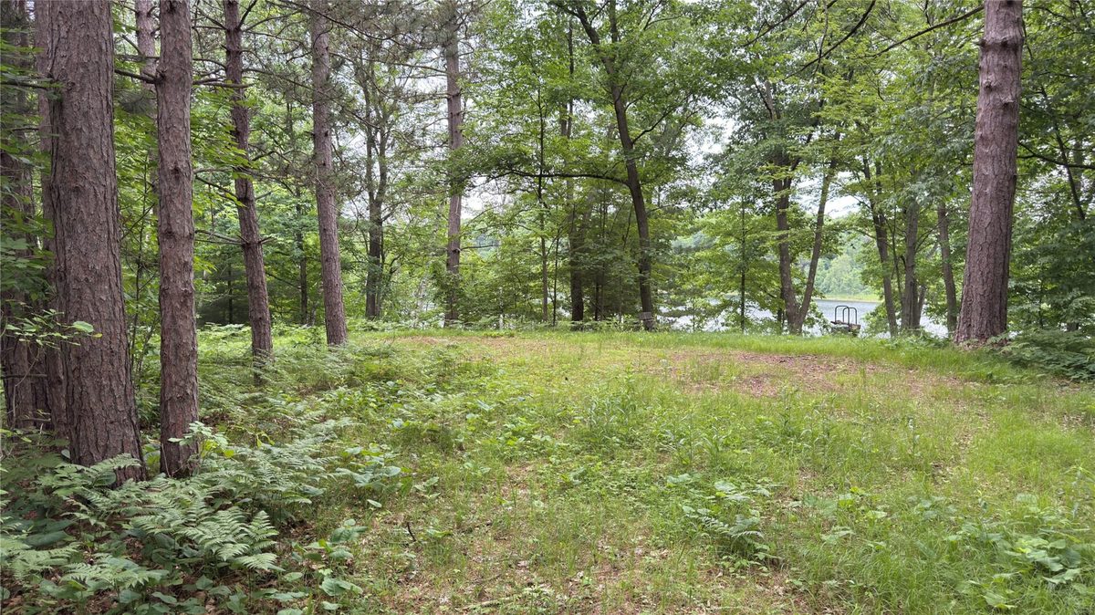 765 270th Ave Cty Rd O, Frederic WI 54837 - Land house for sale - MLS #1602300 - image11