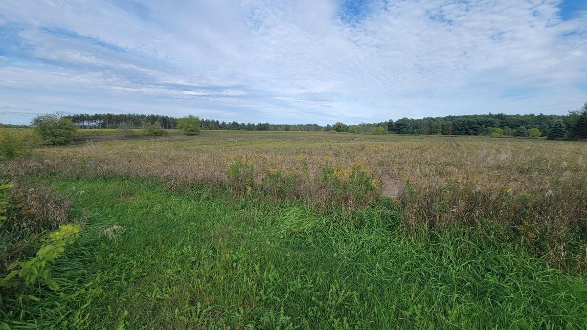 3585 Highway 49, Rosholt WI 54473 - Residential house for sale - MLS #1605185 - image26