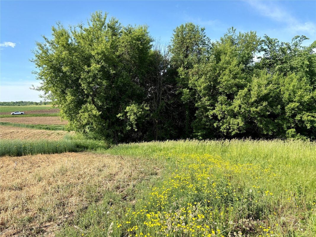 15.01 Acres 160th Avenue, Maiden Rock WI 54750 - Land house for sale - MLS #1604580 - image46