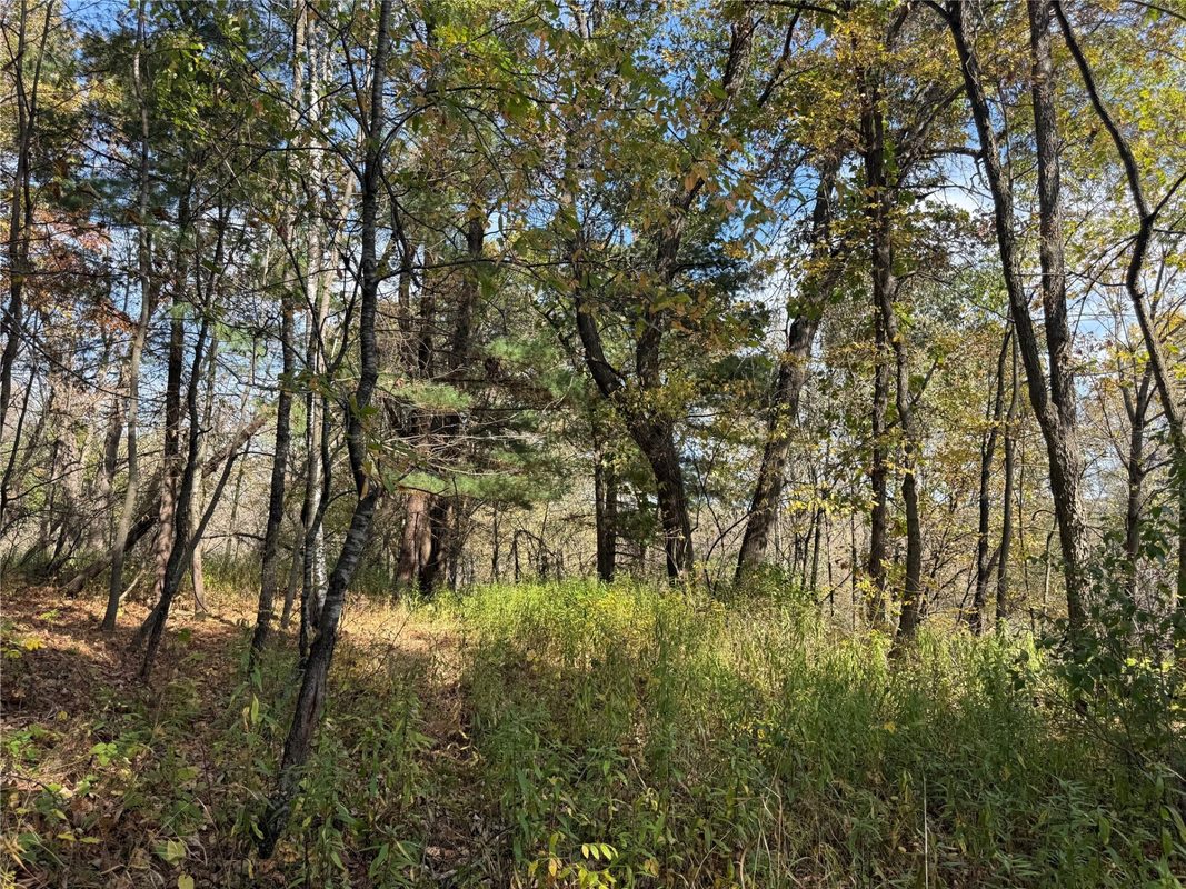 N2108 State Hwy 54, Melrose WI 54642 - Residential house for sale - MLS #1605938 - image17