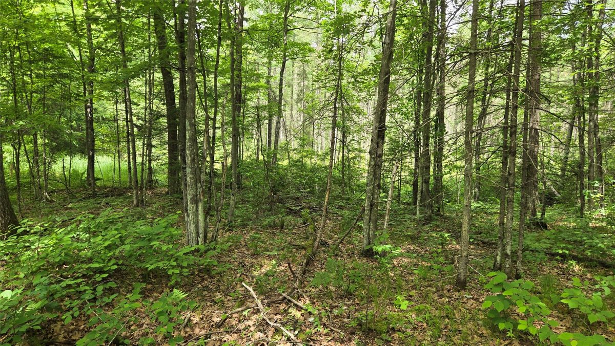 W11680 Jenness Road, Bruce WI 54819 - Residential house for sale - MLS #1602596 - image39