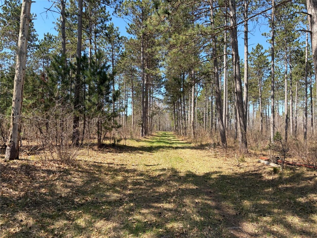 TBD AA Mann Road, Spooner WI 54801 - Land house for sale - MLS #1602850 - image4