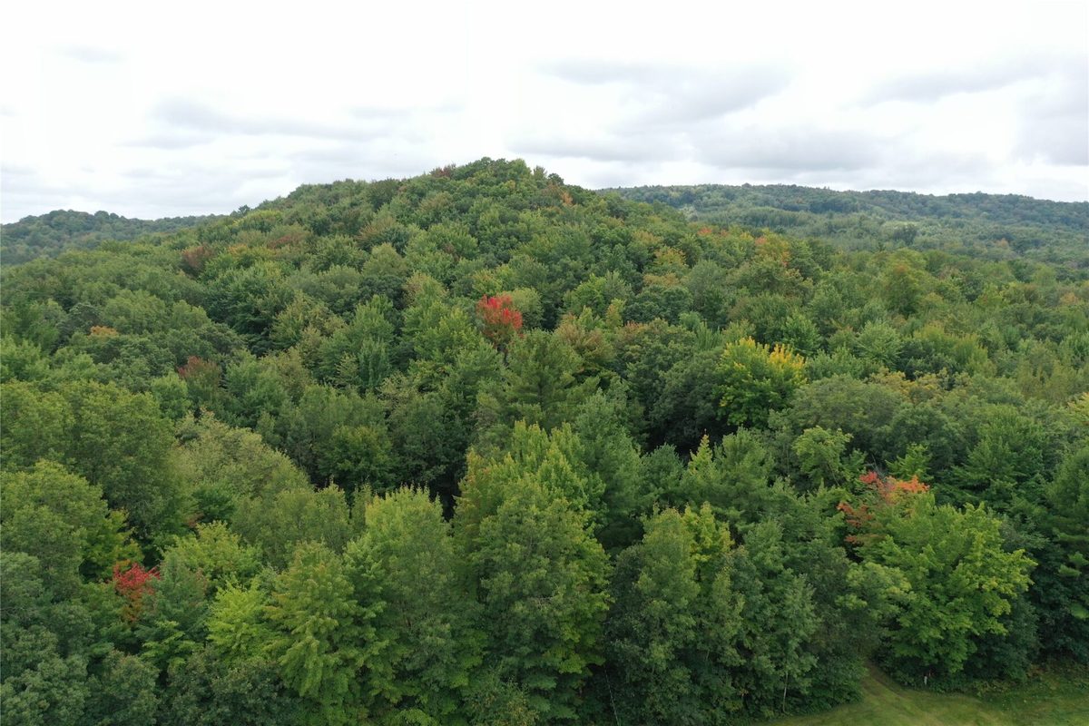 W02 State Highway 64, Colfax WI 54730 - Land house for sale - MLS #1604529 - image38