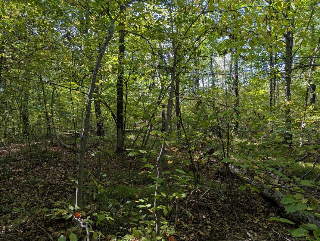Lot 17 Rabbit Run, Ojibwa WI 54862 - Land house for sale - MLS #1605249 - image2