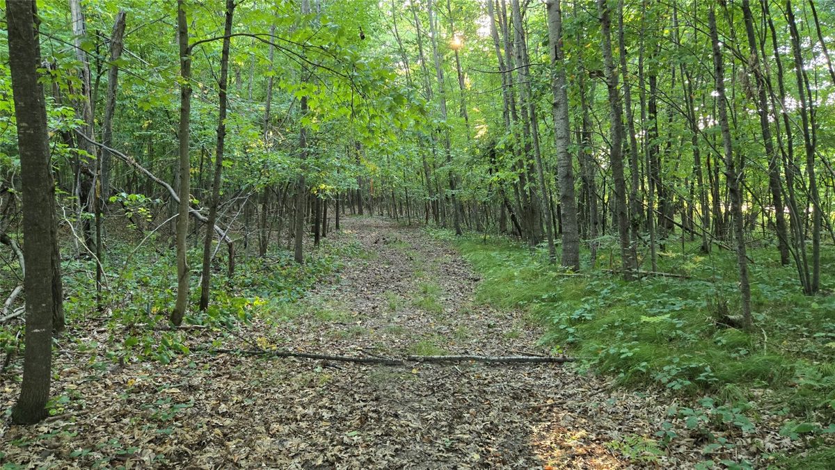 W02 State Highway 64, Colfax WI 54730 - Land house for sale - MLS #1604529 - image30