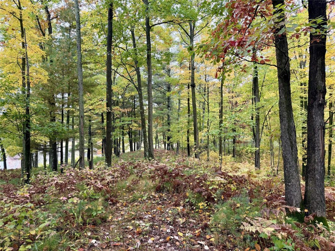 00 10 1/2-28 1/2, Barronett WI 54813 - Land house for sale - MLS #1604830 - image10