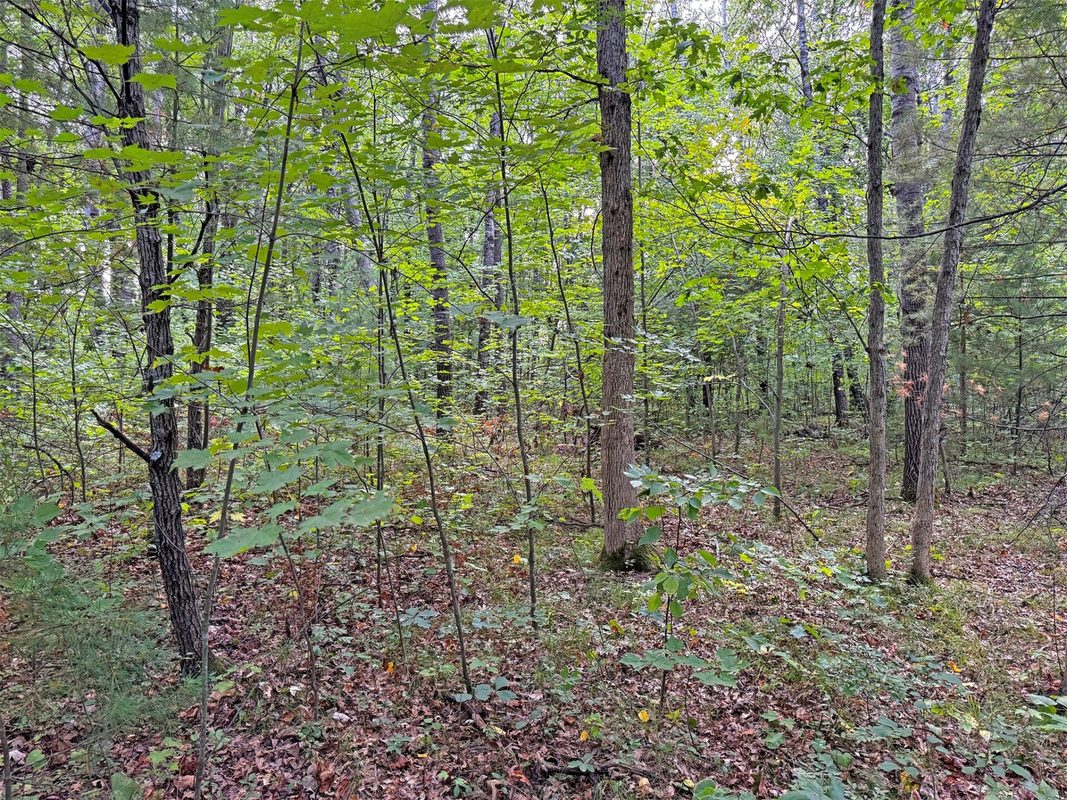 24771 Swede Road, Webster WI 54893 - Residential house for sale - MLS #1605095 - image5