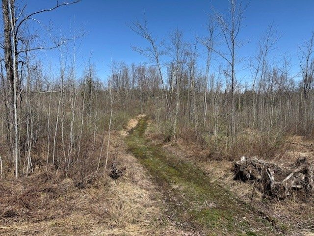 4819N Horse Creek Trail