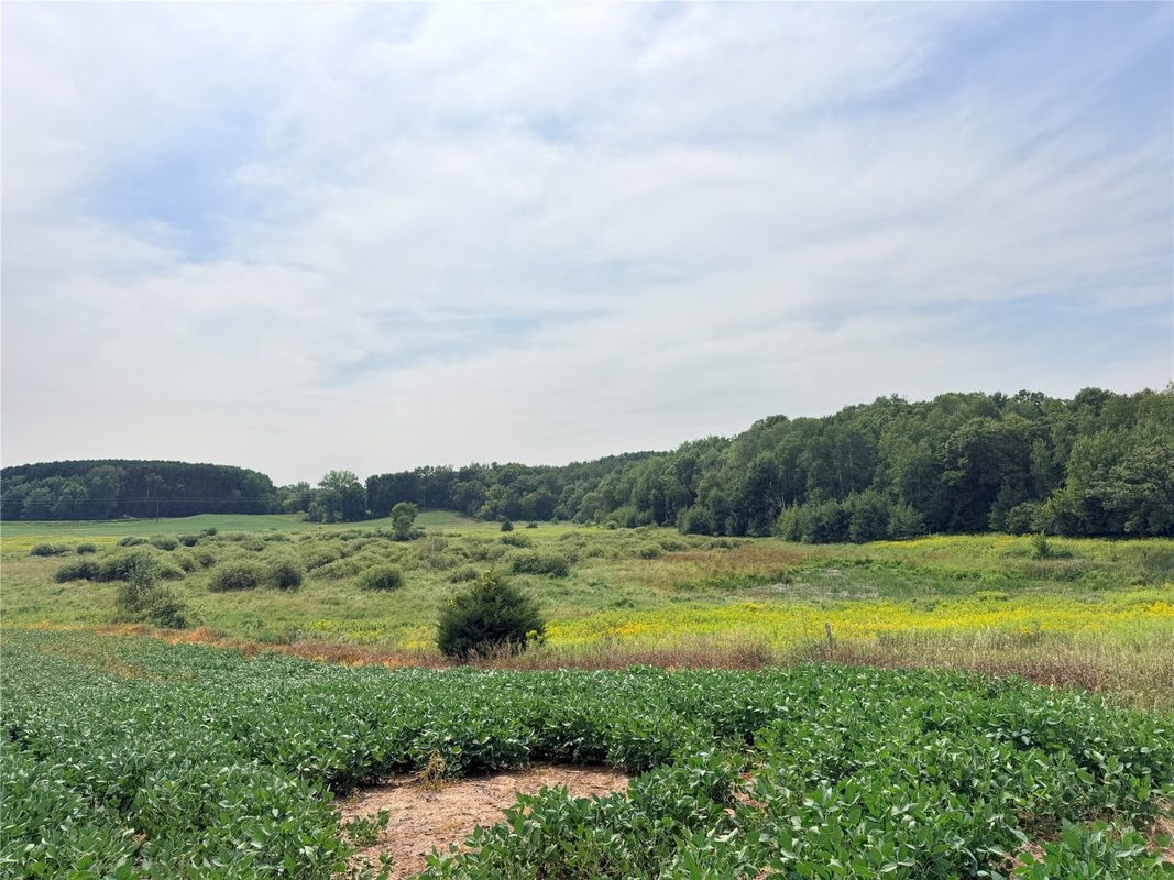 10 Acres Lot 4 230th Street, St Croix Falls WI 54024 - Land house for sale - MLS #1606210 - image15