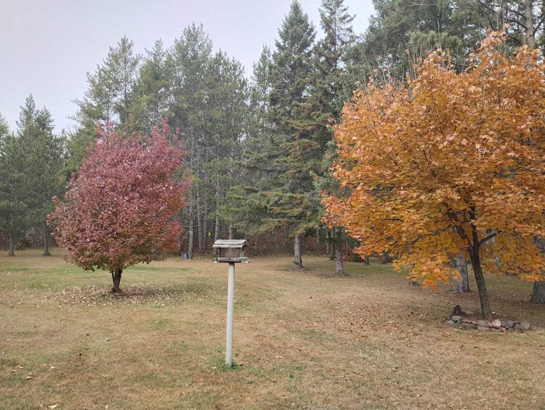 W3602 Willers Road, Springbrook WI 54875 - Residential house for sale - MLS #1602817 - image45