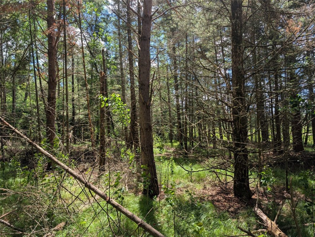 Lot 4 Main Road, Springbrook WI 54875 - Land house for sale - MLS #1602445 - image9