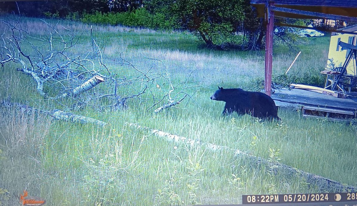 11116 Blackberry Road N, Trego, WI