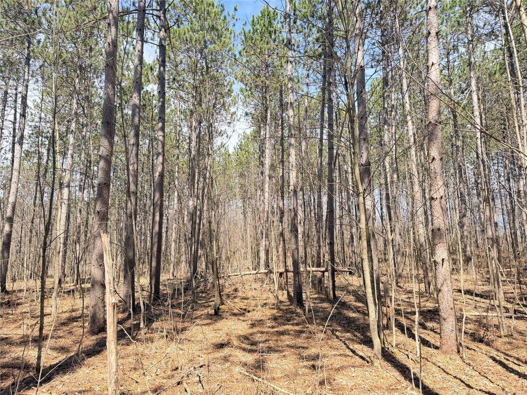 20 Acres Star Lake Road, Rice Lake, WI — photo 13