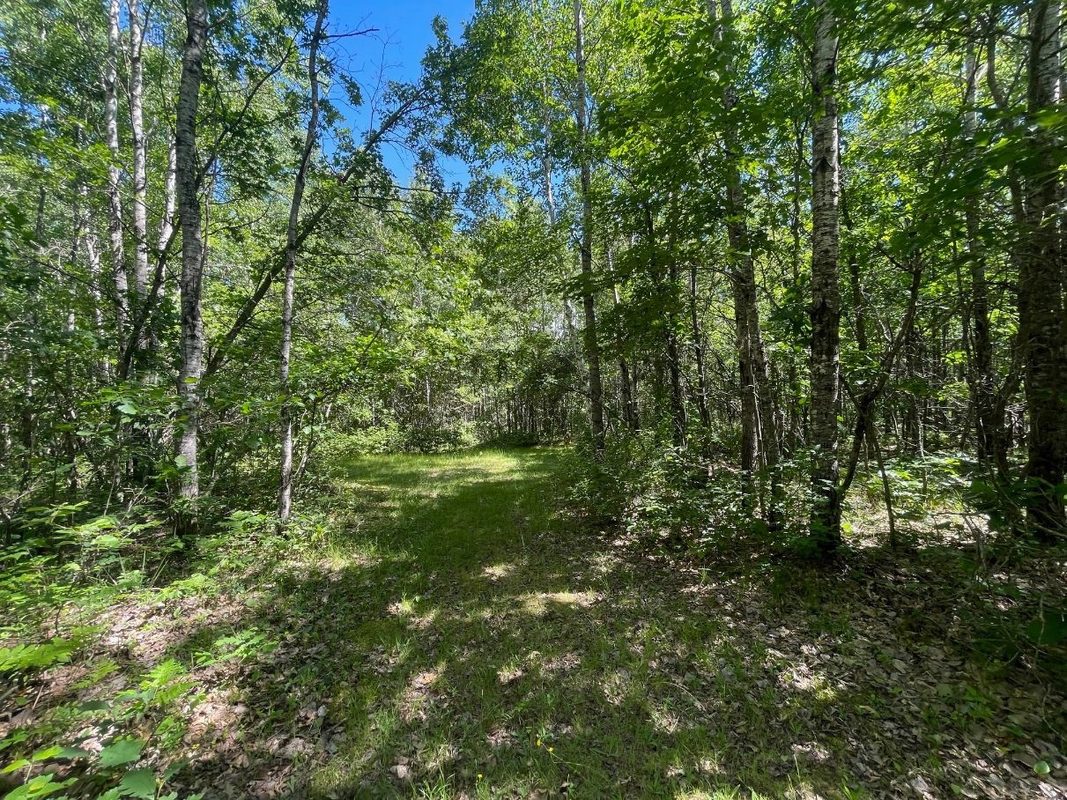 12997 Mail Road, Gordon WI 54838 - Residential house for sale - MLS #1602637 - image39