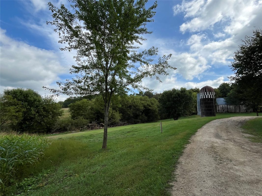 W16717 Holmen Road, Osseo WI 54758 - Residential house for sale - MLS #1604889 - image44