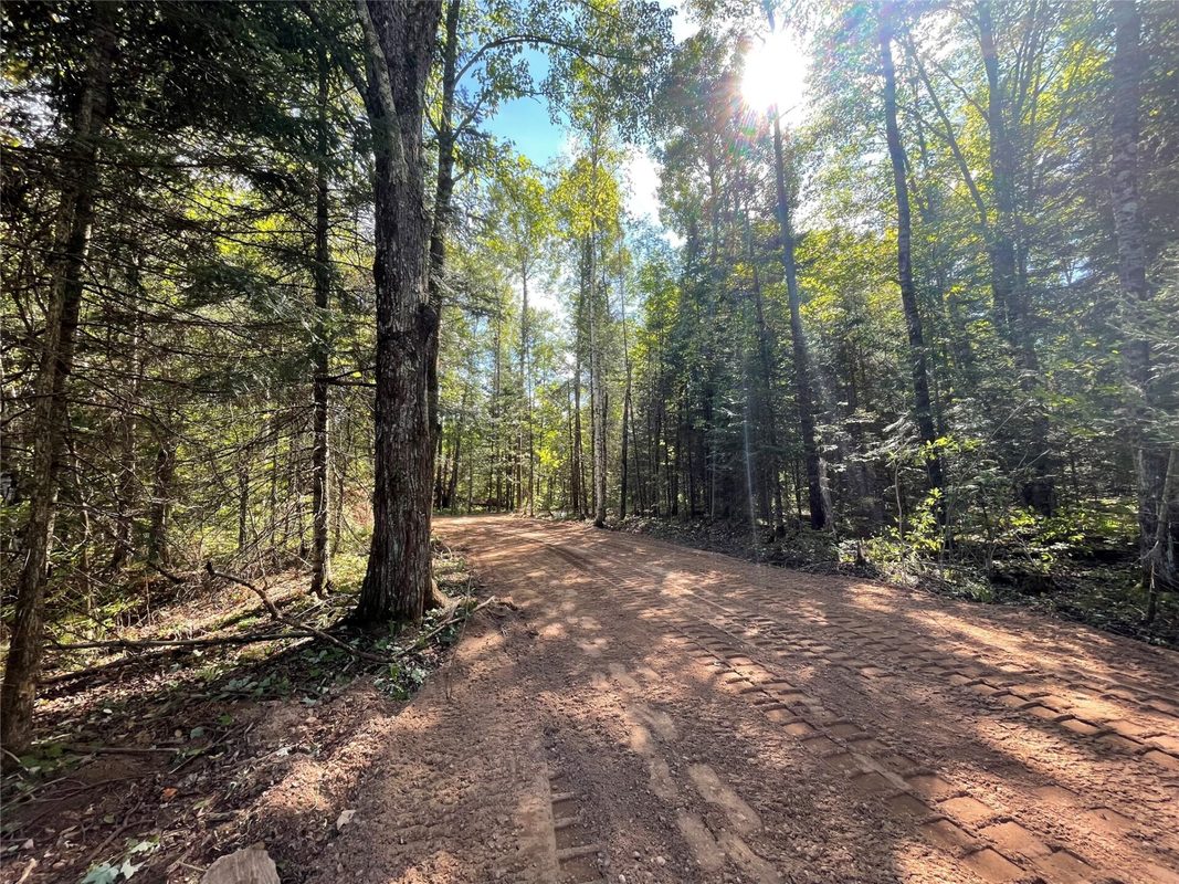 Lot 2 Fadness Road, Winter WI 54896 - Land house for sale - MLS #1605242 - image5