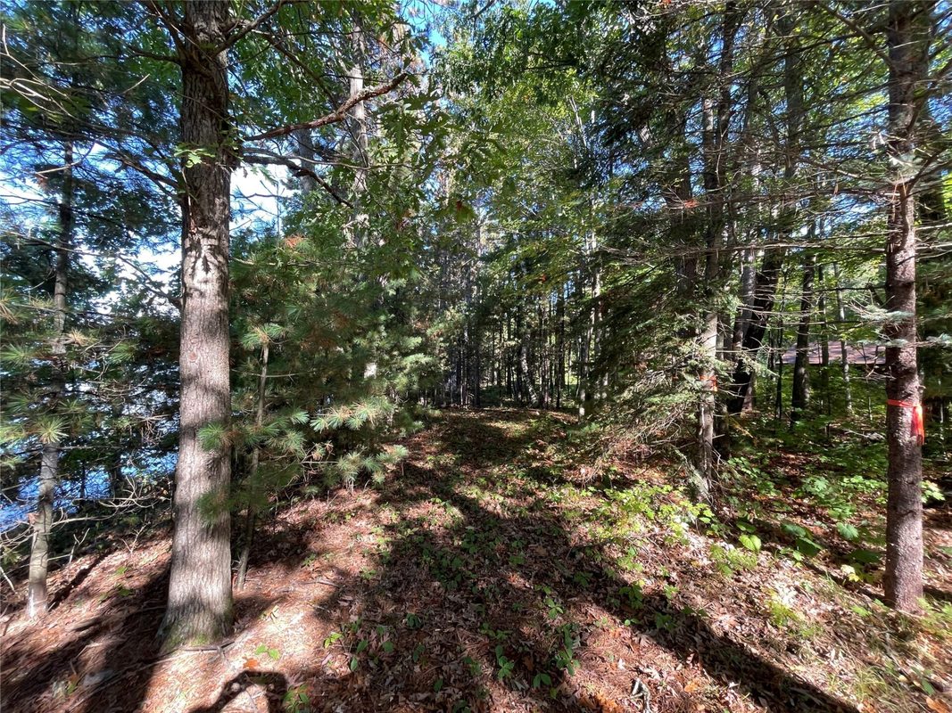 6073 Elsie Road, Stone Lake WI 54876 - Land house for sale - MLS #1602616 - image18