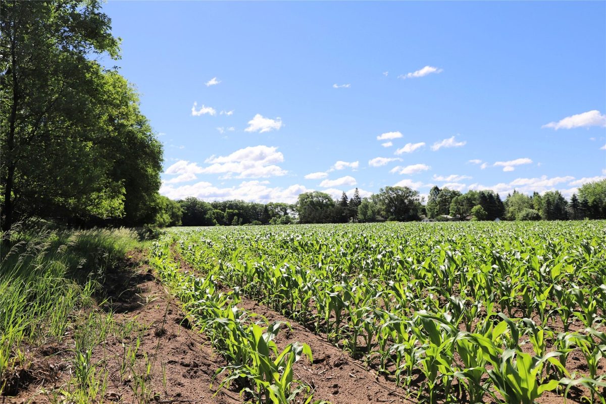 5320 County Road 6, Other MN 56301 - Land house for sale - MLS #1602329 - image14