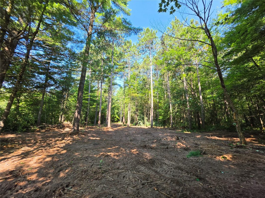 0 Country Road C Lot 1, Elk Mound WI 54739 - Land house for sale - MLS #1604589 - image9