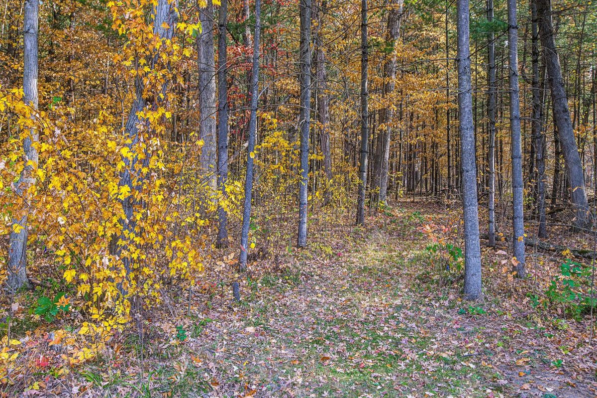 10941 200th Street, Jim Falls WI 54748 - Residential house for sale - MLS #1605885 - image30