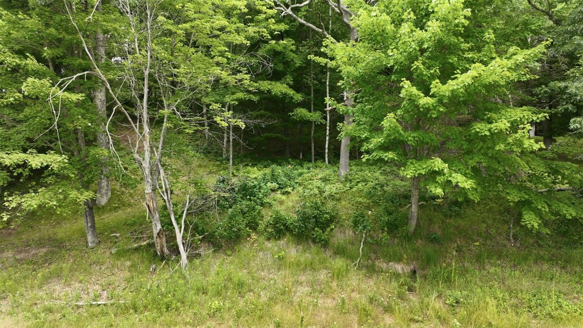 0 Goose Lake, Spooner WI 54801 - Land house for sale - MLS #1603400 - image15