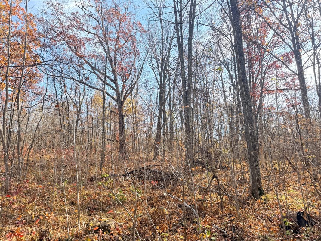 0 County Highway C, Rice Lake WI 54868 - Land house for sale - MLS #1605929 - image18